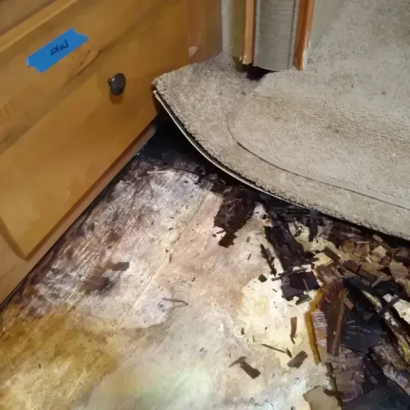 Wood Floor Water Damage in Ripley, WV